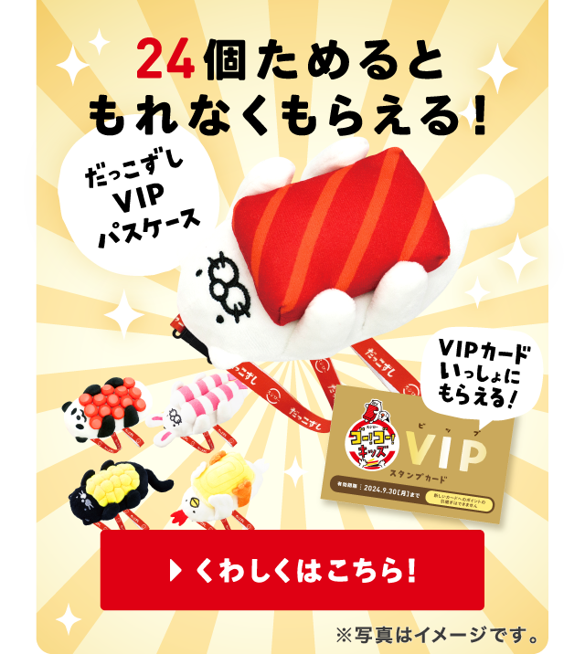 24個ためるともれなくもらえる！｜だっこずしVIPパスケース｜VIPカードいっしょにもらえる！ | くわしくはこちら！ ※写真はイメージです。